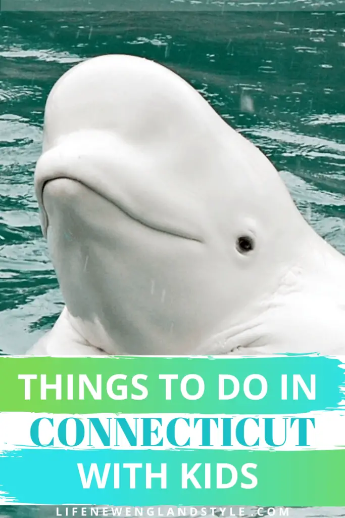 Things to Do in Connecticut with Kids