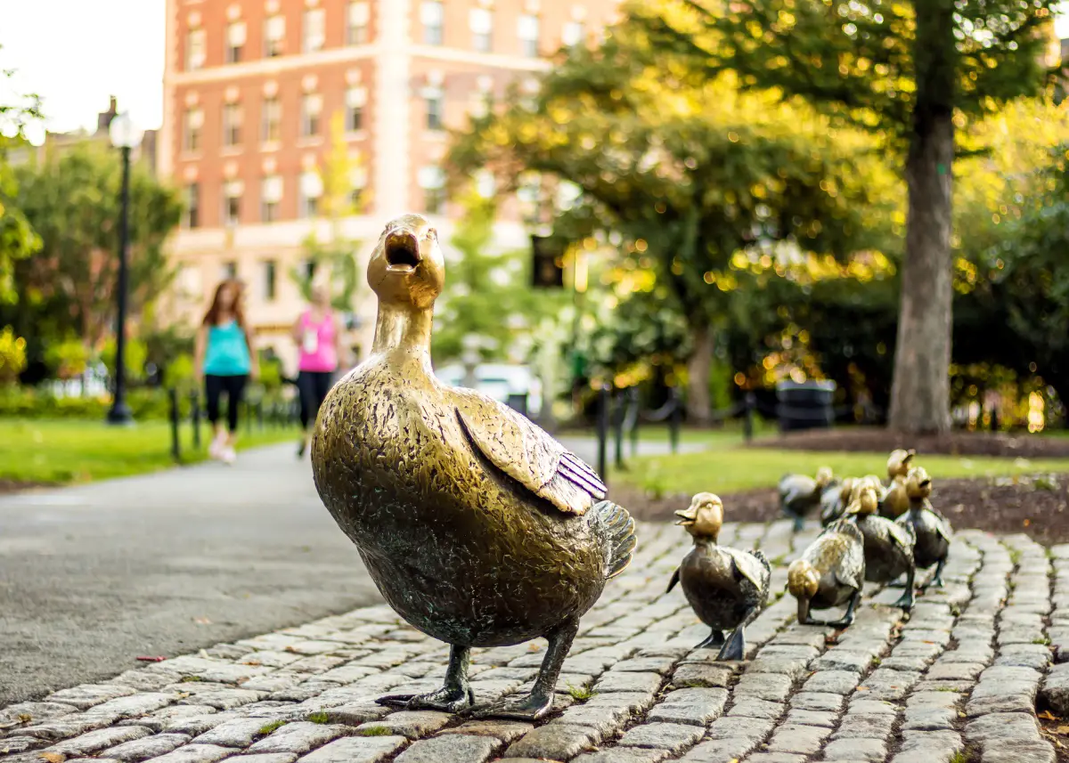 25+ Fun-Filled Adventures in Boston for Families
